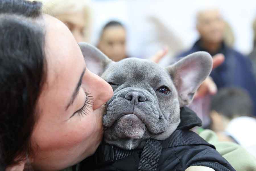 Quattrozampe in Fiera “Pet-friendly a Roma