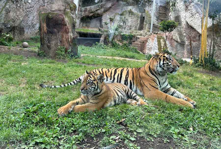 Bioparco di Roma "Invertiamo il rosso" ,